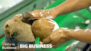 Why Coconut Farmers Risk Their Lives To Feed The Worlds Superfood Obsession  Big Business [upl. by Jamel769]