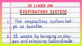 Few Lines on RESPIRATORY SYSTEM  10 Lines on RESPIRATORY SYSTEM  Essay on RESPIRATORY SYSTEM [upl. by Braca]