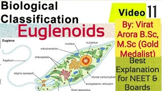 Name the connecting link between plants and animalsEuglenawhat is pelliclewhat is pyrenoid body [upl. by Anaira]