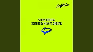 Somebody New feat ShezAr [upl. by Fanestil]