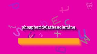 PHOSPHATIDYLETHANOLAMINE  HOW TO SAY PHOSPHATIDYLETHANOLAMINE [upl. by Ajtak]