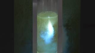 The amazing chemiluminescence of luminol [upl. by Leinahtan]