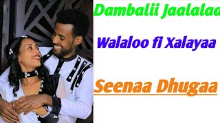 Dambalii Jaalalaa Walaloo fi Xalayaa Seenaa Dhugaa [upl. by Edme874]