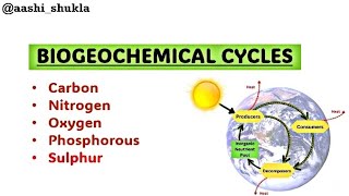 Biogeochemical Cycles  Carbon Nitrogen Oxygen Sulphur  Unit 2  Environmental Chemistry [upl. by Ariday]