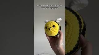 Learn how to crochet bee kits are back for beginners [upl. by Porett8]