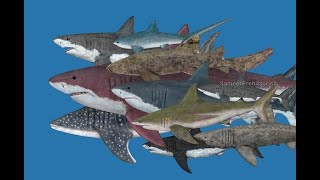 15 Largest Sharks that ever lived [upl. by Jacquelynn]