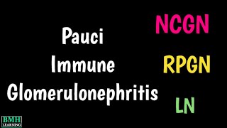 PauciImmune Necrotizing amp Crescentic Glomerulonephritis  NCGN  PauciImmune Glomerulonephritis [upl. by Lyman]