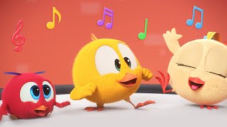 Chickys music group  Wheres Chicky  Cartoon Collection in English for Kids  New episodes [upl. by Kcaj569]