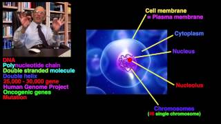 Xeroderma pigmentosum amp Skin Colour Ep15 [upl. by Hafeenah]