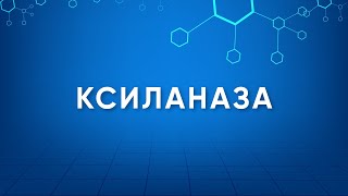 Ксиланаза Xylanase Назначение Производство Применение Энзимология в деталях [upl. by Darej]