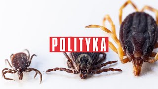 Pospolity łąkowy afrykański Polska w kleszczach Czym nam grożą i jak się ich pozbyć [upl. by Annaesor]