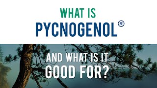 Pycnogenol® General Animated Infographic [upl. by Anerat787]