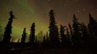 Aurora Northern Lights  Yellowknife Northwest Territories Canada [upl. by Adnouqal]