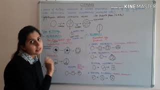 Cleavage and Types of Egg  CSIR NET  GATE  MSc  BSc  Life Science [upl. by Dunlavy653]