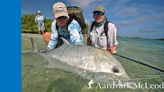 Strip Fly Fishing for Giant Trevally on Cosmoledo Atoll [upl. by Enilrem]