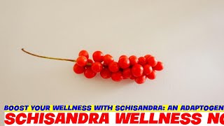 Boost Your Wellness with Schisandra An Adaptogenic Powerhouse [upl. by Aihsar]