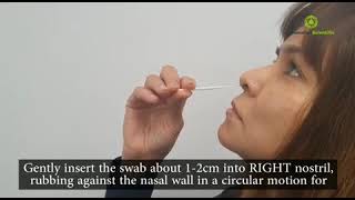 InnoScreen  Nasal Rapid Antigen Test [upl. by Tyika]