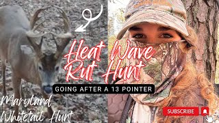 Heat Wave Hunting a 13 Pointer  Whitetail Deer Hunt in Maryland [upl. by Arbas]