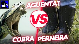 Cuidado PERNEIRA não segura picada de SERPENTE em Testes com Luva Bota Botina e cobras [upl. by Ettezzus532]