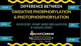 Difference between Oxidative phosphorylation and Photophosphorylation [upl. by Tertias]