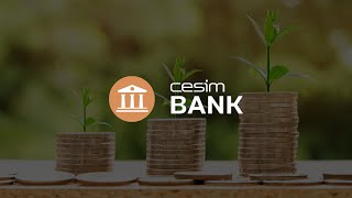 At a Glance Cesim Bank  Bank Management Simulation [upl. by Erialb879]