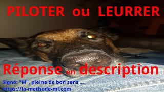 PILOTER son chien OU LEURRER son chien  Educateur canin en présentiel OU Bullshit en ligne  BBM [upl. by Neersan]