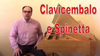 Strumenti Musicali Il Clavicembalo Storia  Comè fatto  come si suona [upl. by Yelime]