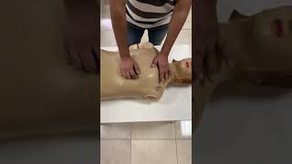 Chest Examination  inspection and palpation [upl. by Yance]