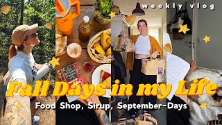 Hello September 🍂🎃 Cozy Mornings PSL Sirup amp Scones Food Shop amp neue Ziele  Weekly Vlog 219 [upl. by Mastrianni140]