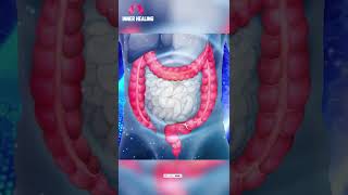 Stomach Colon amp Digestion Disorder Treatment ➤ Binaural Beats ➤ Digestion Enhancement Sound Therapy [upl. by Aramac]