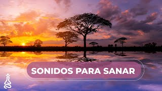 Música Para Relajarse o Meditar amp Paisajes de Africa 💛 Sonidos de Flauta para Sanar [upl. by Stafani]