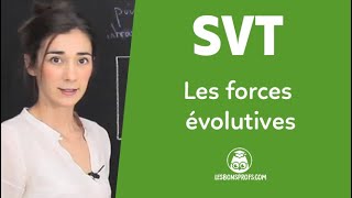 Les forces évolutives  SVT  Seconde  Les Bons Profs [upl. by Jenkel]