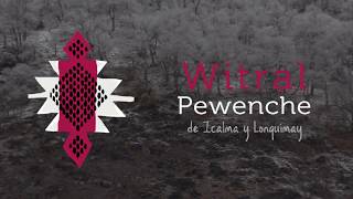 Witral Pewenche de Icalma y Lonquimay [upl. by Soisatsana768]