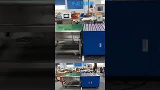 Checkweigher and balance wheel sorting line balance wheel sorting [upl. by Oira]