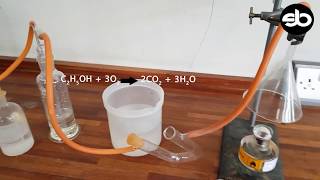 Testing for Carbon dioxide and Water [upl. by Genvieve854]