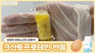 하또실 크산토프로테인 반응Xanthoproteic test 방향족 아미노산의 검출 단백질 검출 실험 [upl. by Nagaer411]