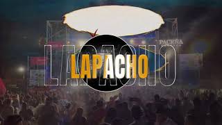 Festival Internacional del Lapacho 2024 [upl. by Huckaby]