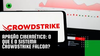 Apagão cibernético O que é o sistema CrowdStrike Falcon [upl. by Ytineres174]