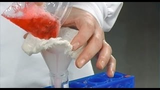 Strawberry DNA Extraction [upl. by Rufe759]