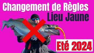 🎣 Pêche du Lieu Jaune ENCORE une NOUVELLE RÉGLEMENTATION ÉTÉ 2024  Ce que Vous Devez Savoir  ⚠️ [upl. by Sasnett]