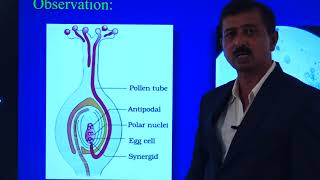 II PUC BIOLOGY PRACTICAL STUDY OF POLLEN TUBE GROWTH ON STIGMA [upl. by Agn]