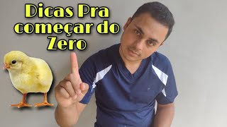 Como Iniciar Uma Criação de Frango Caipirão  1°Parte [upl. by Nelrah946]