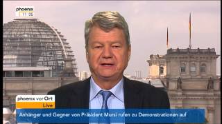 Wolfgang Wieland zum Asylantrag von Edward Snowden  vom 02072013 [upl. by Smaoht]