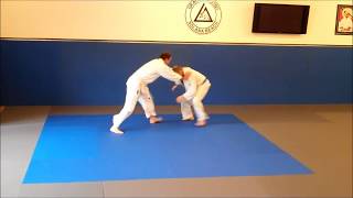 Standing Techniques Gracie Combatives [upl. by Lorsung]