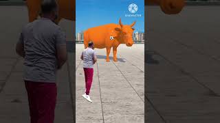 The cow mascot vibrato assistant placedon the football field is popular  CowSatisfying Video [upl. by Mastic461]