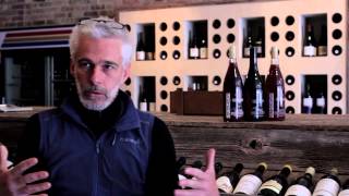 Why make wine in an amphora Frank Cornelissen answers [upl. by Eneleuqcaj824]