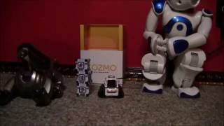 Cozmo robot review from a new adult owner [upl. by Eniagrom168]