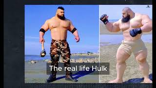 Sajad Gharibi  The Iranian Hulk  Strongest Man  Iranian Hulk [upl. by Leahcimnaes275]