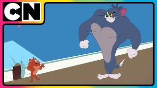 Tom amp Jerry 😺🐭 Just Cat amp Mouse Things  tomandjerry  Funny Cartoons  cnindia [upl. by Rabjohn683]