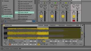 SubBass Ableton Tutorial  Looping in the sampler [upl. by Joan137]